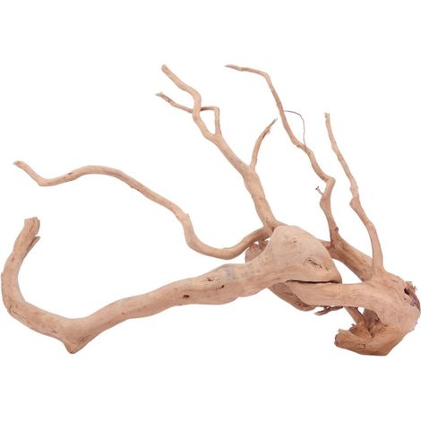 XXL Moorkienwurzel Nr.4342 Holz Deko Aquascaping