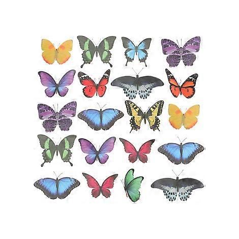 Lot de 20 autocollants anti-collision pour vitres, style aléatoire