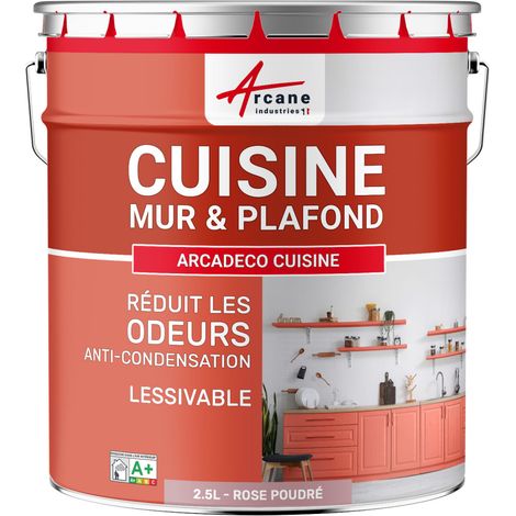 Peinture cuisine, lessivable, absorbe les odeurs - 2.5 L Rose poudré - RAL 010 70 15 - ARCANE INDUSTRIES