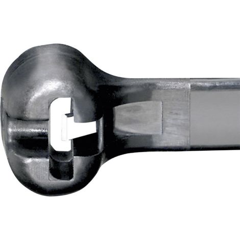 Panduit CVR200ABK BT2M-C0 Serre-câble 201 mm 2.40 mm noir avec languette métallique, stabilisé aux U