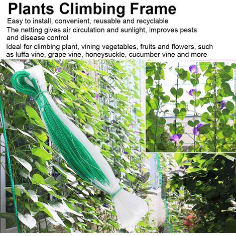 Treillis pour plantes de jardin, filet de protection pour plantes grimpantes, structure pour arbres fruitiers, protection contre les insectes et les mauvaises herbes (1/5)