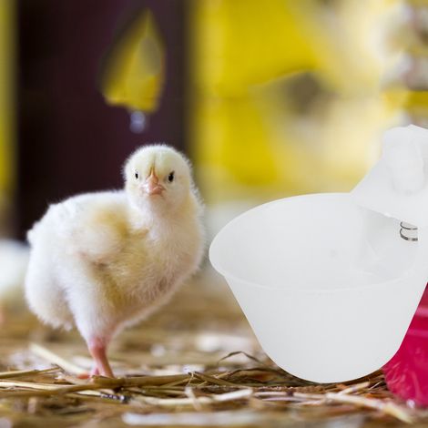 Lot de 12 abreuvoirs automatiques suspendus pour oiseaux (cailles, pigeons, etc.) - Équipement d'alimentation pour oiseaux en cage (1/5)