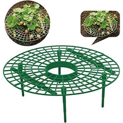 6 pièces Support de Cadre de Fraise, Support de Plantation Support de Plante élever Le Fruit Loin du Sol éviter la pourriture du Sol-Crezuo (1/3)
