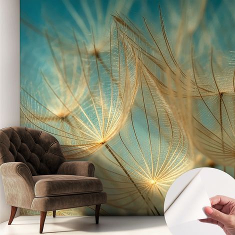 Tapete Selbstklebend - Fototapete mit Motiv - Wandtapete modern - Wanddeko Ätherische Pusteblumen 250x250 cm (1/5)