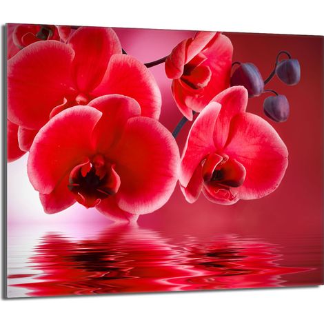 Glasschutzplatte für den Herd 60x52 Orchidea