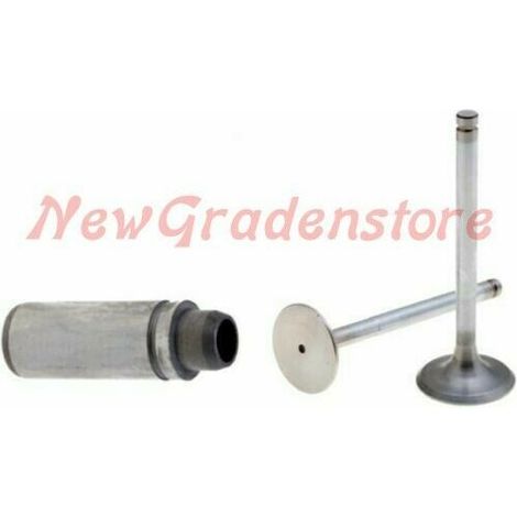 Kit valvole + guidavalvole motore diesel LOMBARDINI LDA820 4LD820 LDA96 LDA97