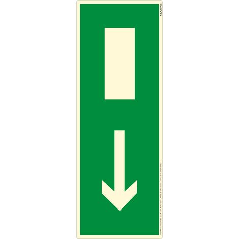 Panneau photoluminescent Sortie de secours en bas - Rigide 330x120mm - 4030951