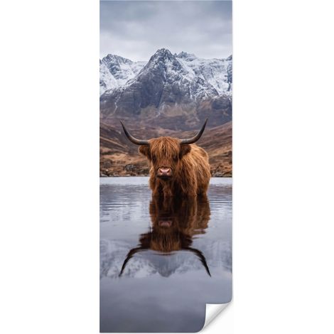 Papiel Pintado Highlander escocés - Marrón - Agua 100x260 cm (1/5)