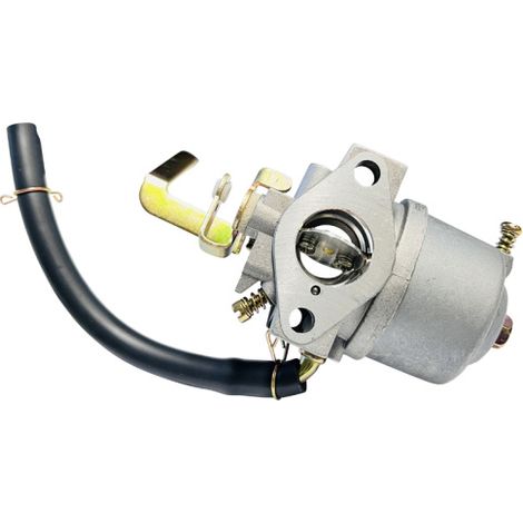 Vergaser P20-1A 220620G Ersatz Vergaser für Rasenmäher, Stromerzeuger und Freischneider uvm. (1/5)