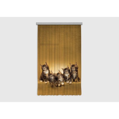 Cats, rideau imprimé 5 chatons marrons 140x245 cm, 1 pièce (1/4)