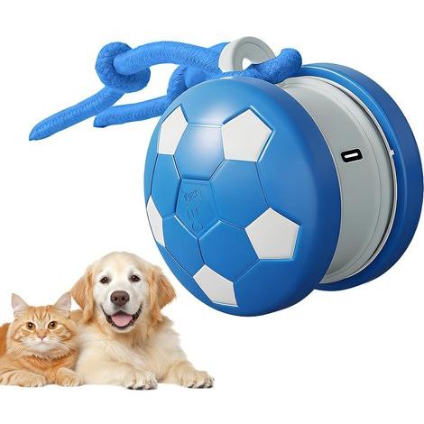 Balle Interactive pour Chat Jouet Intelligent à, Appareil de Jeu Rechargeable pour Animaux de Compagnie avec Queue de Corde, Accessoire félin avec Plaisir activé par Le Mouvement, Utilisation (1/5)