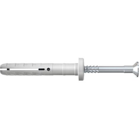 Cheville clou NF FBB 100 pièces L : 60 mm ∅ 6 mm (1/5)