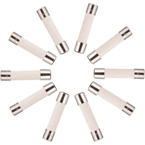 10x Fusible Temporisé (T) en céramique 10A / 250VAC 5x20mm (1/5)