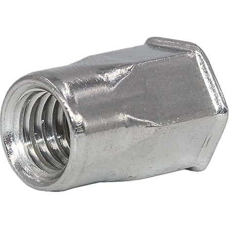 Halbsechskant-Nietmutter aus Edelstahl 304 mit Senkkopf, Kappe M4-M12 (M6 (10 (1/5)