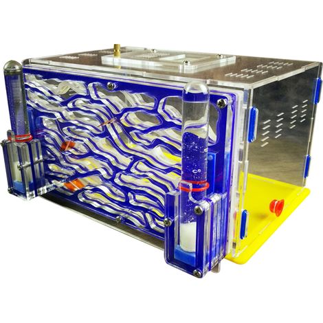 Fourmilière à monter soi-même, aire d'alimentation, ferme à fourmis en acrylique, villa pour animaux de compagnie, modèle Advanced Mania, pour fourmis domestiques, cadeau d'anniversaire (1/5)