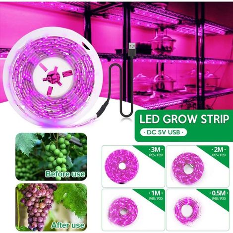 LED lampe pour plante 5V, Lampe LED horticole croissance floraison, Lampe de culture pour plantes spectre complet 2835 SMD avec USB, Bande lumineuse croissance plantes intérieur (2M, étanche) (1/3)