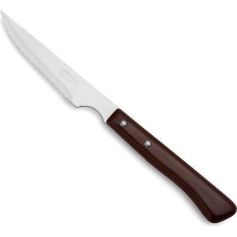Steakmesser 110mm Polypropylen 804000 Bögen