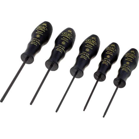 CK - 5 tournevis Torx avec protection