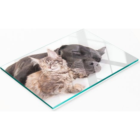 Tagliere da cucina decorativo in vetro temperato con motivo cane e gatto, 80x52 cm (1/5)