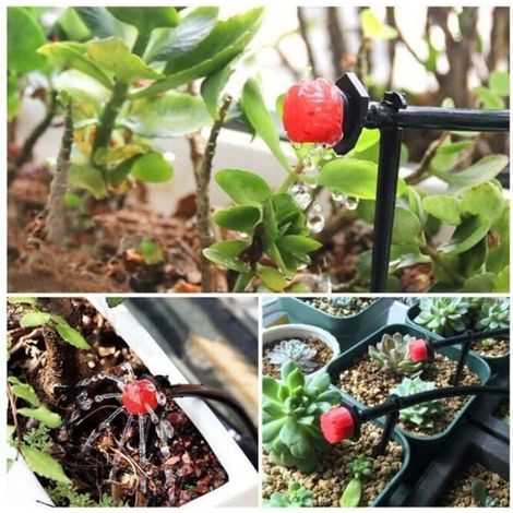 Goutteur Arrosage - Débit Réglable 15 x 25 mm - Pour Système Goutte à Goutte Automatique de Jardin - Lot de 100 Pièces (1/4)