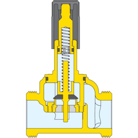By-pass differenziale, per gruppi serie 165,166 e 167 Caleffi 519006  1"M (1/2)