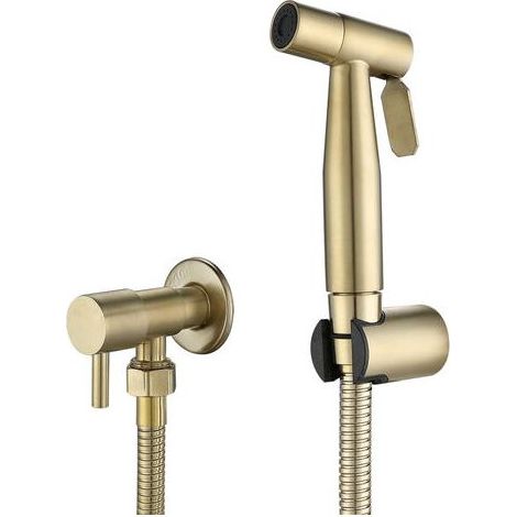 Pulvérisateur de toilettes pour bidet et de toilettes en acier inoxydable, Kit de pulvérisateur de bidet, pulvérisateur de robinetterie Pulvérisateur de WC(or) (1/5)