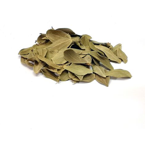 BioVerde Leafs Foglie Brasiliane 20g (1/4)