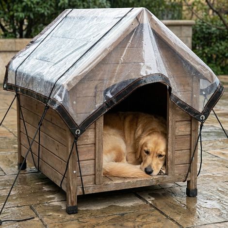 Randaco 2x Bâche transparente imperméable avec œillets anti-rouille pour jardin et terrasse, 2 × 2 m (1/5)