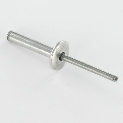 Rivet aveugle éclate GOSTAR Aluminium Tige acier Tête large 4.8X20