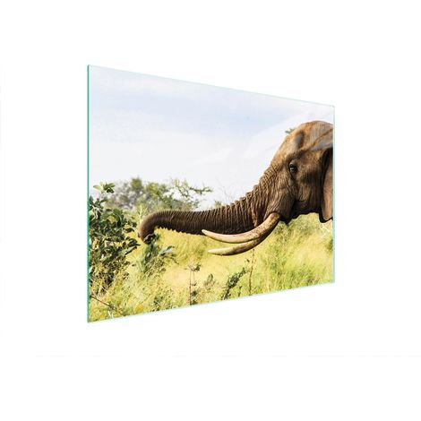 Planche à découper en verre 40x30 éléphant (1/5)