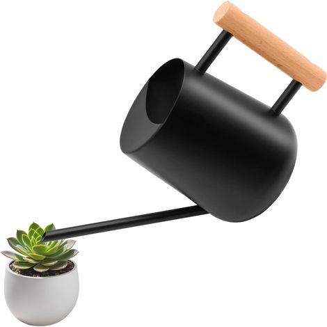 Arrosoir en métal - Petit arrosoir - 1 l - Pour plantes d'intérieur - Avec long bec - 1000 ml - Arrosoir de jardin en acier inoxydable - Pour l'intérieur - Pour plantes en pot, plantes succulentes (1/5)