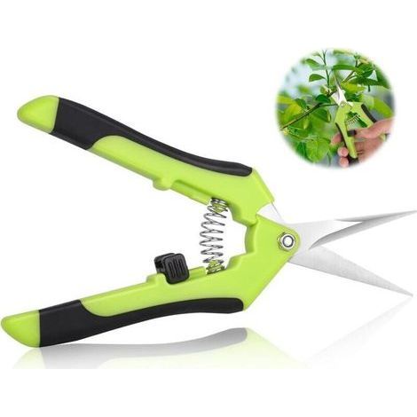 pair Sécateurs de jardin, cisailles de jardin, sécateurs de jardin ergonomiques, ciseaux à bonsaï, sécateur plante, fleur, branche, rose, bonsaï, légume, fruit (1/4)