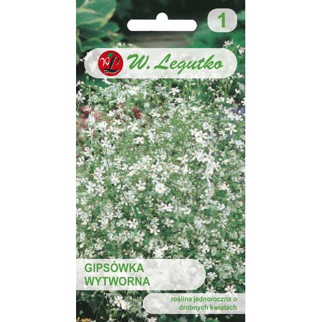Semi di Gypsophila eleganta, bianchi, 1 g