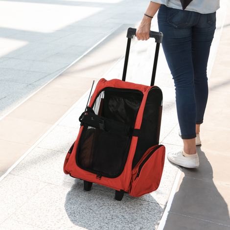 PawHut 2-in-1 Hundetransportbox/Kinderwagen-Rucksack 42x25x55 cm, Haustiertransportbox für Hunde und Katzen, Rot