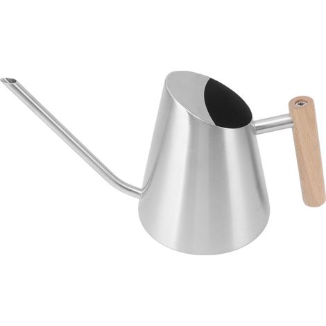 Arrosoir à long bec inox antirouille avec poignée en bois pour jardin bonsaï intérieur extérieur argent (1/5)