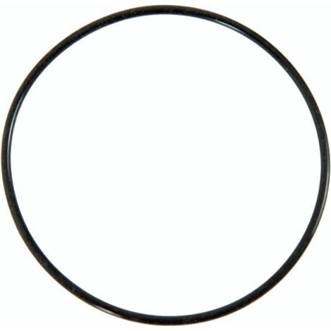 BESTWAY - P6623 - Guarnizione centrale per pompa filtro 3785 lt/h
