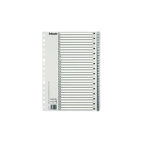 INDICE ESSELTE PP NUM.A4 ps.1-31 IND.B/N
