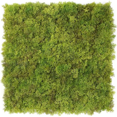 Mur végétal artificiel Mousse - 1m x 1m - Exelgreen (1/5)
