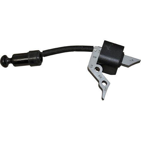 Bobine D'allumage Trex - Loncin Pour Moteur Y100v. Origine Y1b20000000. (1/2)