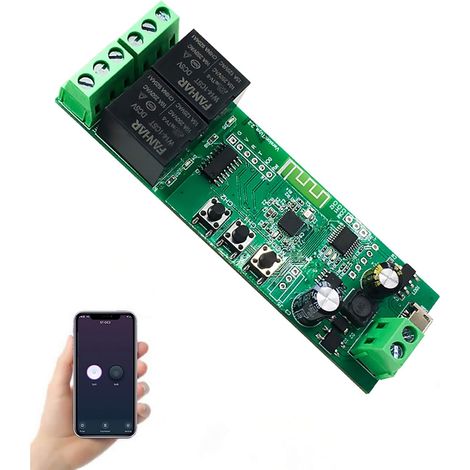Module Switch WiFi 2 Canaux Commande Sans Fil pour Éclairage (1/5)