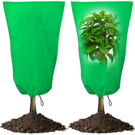 3 pièces Housse de protection, tissu non tissé, fermeture éclair, cordon de serrage, pour arbres et plantes en pot (1/5)
