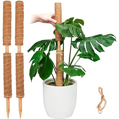Poteau de Mousse, Support bâtons Plantes Extensibles, Piquets pour Plante en Pot d'intérieur, Treillis Coco 40cm Pothos et Autres Grimpantes - 4 pièces × 40 cm (1/5)