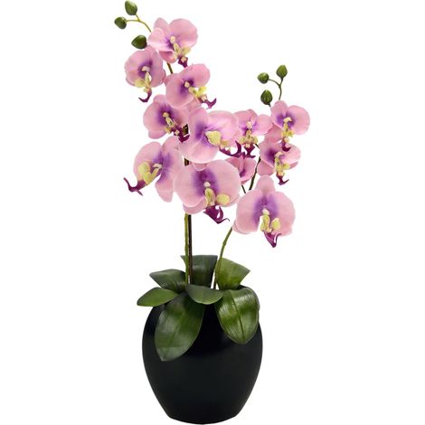 Flair Flower Orchidée dans Un Vase, Rose, 63 x 20 x 12 cm (1/2)