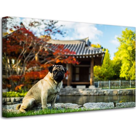 Lienzo impreso con la imagen de un perro carlino (80x50 cm).