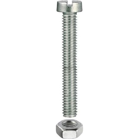 Viti Testa Cilindrica per Metallo 5 x 40 mm 6 pezzi