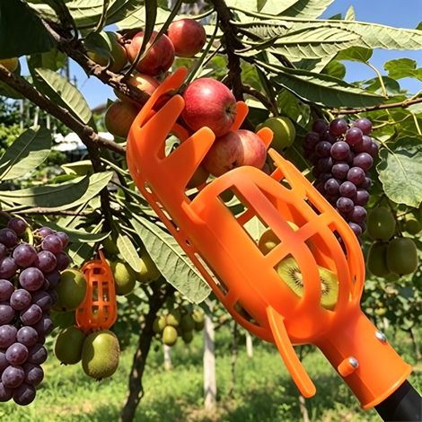 Une cueilleuse de fruits, un outil de récolte de fruits télescopique multifonctionnel, un outil de récolte en haute altitude. (1/5)