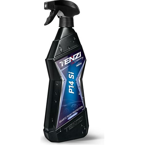 P14Si GT (EN/PL) 0,7 L