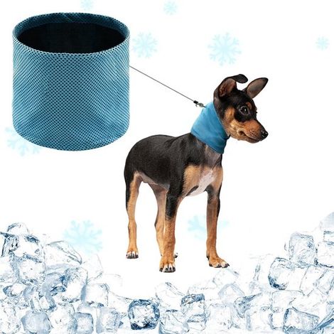 Lot de 2 bandanas rafraîchissants pour chien, auto-refroidissants et réglables, colliers rafraîchissants pour l'été et les fortes chaleurs, pour chiens et chiots, taille M, bleu (1/5)