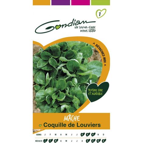 Gondian - Mache Coquille de Louviers (1/3)