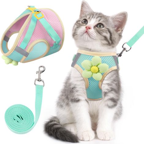 Ensemble harnais et laisse pour chat – Harnais souple anti-évasion (vert, taille XS), réglable et facile à enfiler (1/5)